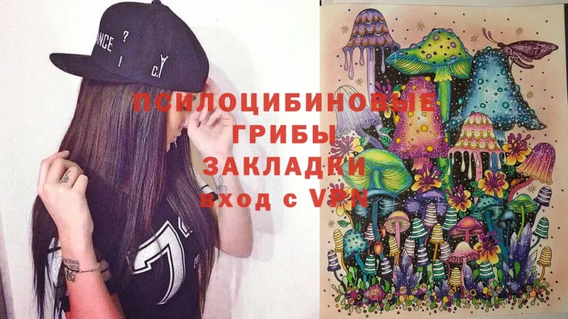 Псилоцибиновые грибы Cubensis  Карачаевск 